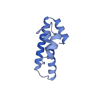 6920_5zeb_o_v1-0
M. Smegmatis P/P state 70S ribosome structure
