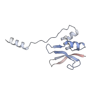 6920_5zeb_p_v1-0
M. Smegmatis P/P state 70S ribosome structure