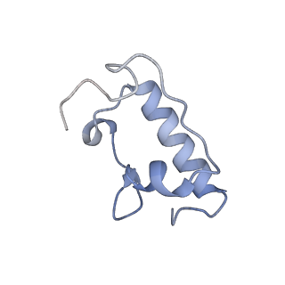 6920_5zeb_r_v1-0
M. Smegmatis P/P state 70S ribosome structure