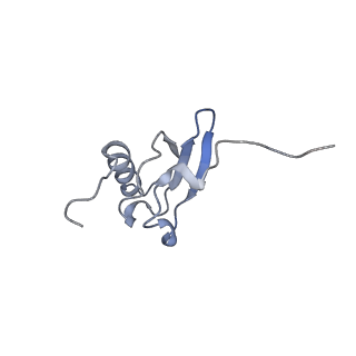 6920_5zeb_s_v1-0
M. Smegmatis P/P state 70S ribosome structure