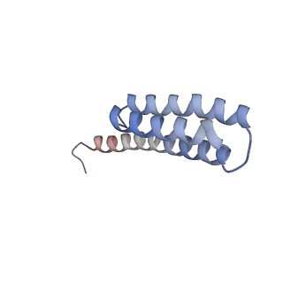 6920_5zeb_t_v1-0
M. Smegmatis P/P state 70S ribosome structure