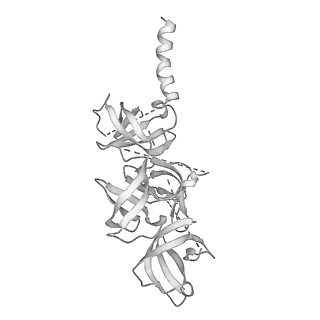 6921_5zep_0_v1-0
M. smegmatis hibernating state 70S ribosome structure
