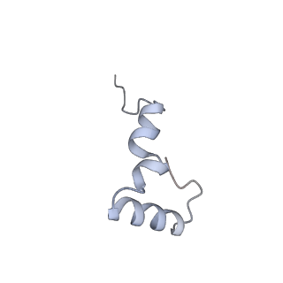 6921_5zep_2_v1-0
M. smegmatis hibernating state 70S ribosome structure
