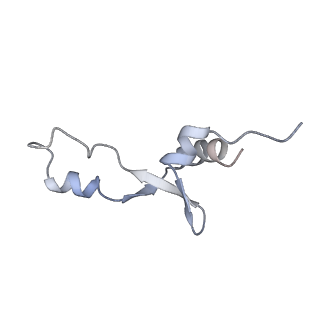 6921_5zep_3_v1-0
M. smegmatis hibernating state 70S ribosome structure