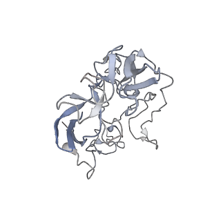 6921_5zep_C_v1-0
M. smegmatis hibernating state 70S ribosome structure