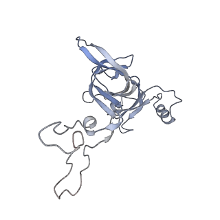 6921_5zep_D_v1-0
M. smegmatis hibernating state 70S ribosome structure