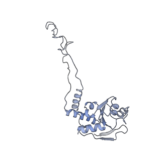 6921_5zep_E_v1-0
M. smegmatis hibernating state 70S ribosome structure