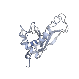 6921_5zep_F_v1-0
M. smegmatis hibernating state 70S ribosome structure