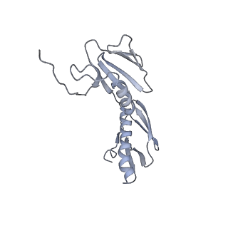 6921_5zep_G_v1-0
M. smegmatis hibernating state 70S ribosome structure