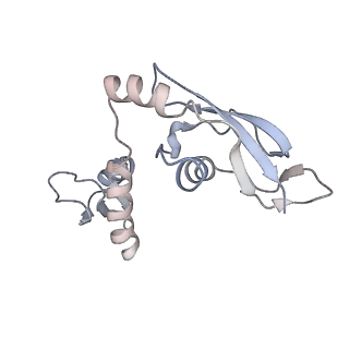 6921_5zep_H_v1-0
M. smegmatis hibernating state 70S ribosome structure