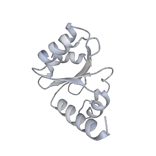 6921_5zep_I_v1-0
M. smegmatis hibernating state 70S ribosome structure