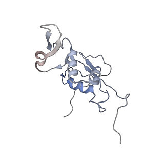 6921_5zep_K_v1-0
M. smegmatis hibernating state 70S ribosome structure