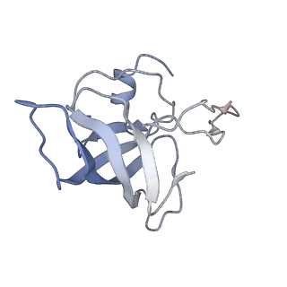6921_5zep_L_v1-0
M. smegmatis hibernating state 70S ribosome structure