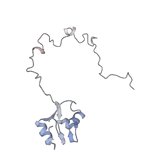 6921_5zep_M_v1-0
M. smegmatis hibernating state 70S ribosome structure