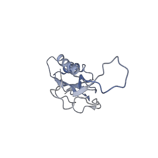 6921_5zep_N_v1-0
M. smegmatis hibernating state 70S ribosome structure