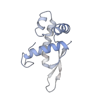 6921_5zep_O_v1-0
M. smegmatis hibernating state 70S ribosome structure