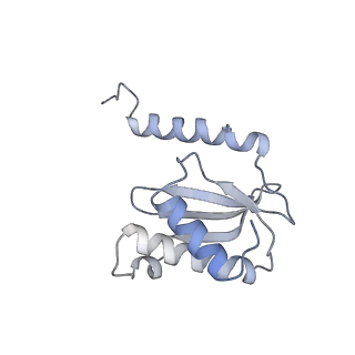 6921_5zep_P_v1-0
M. smegmatis hibernating state 70S ribosome structure