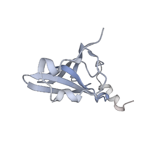 6921_5zep_Q_v1-0
M. smegmatis hibernating state 70S ribosome structure
