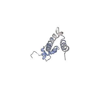 6921_5zep_R_v1-0
M. smegmatis hibernating state 70S ribosome structure