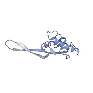6921_5zep_T_v1-0
M. smegmatis hibernating state 70S ribosome structure