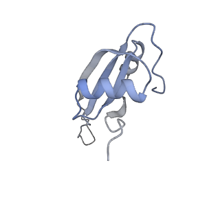 6921_5zep_U_v1-0
M. smegmatis hibernating state 70S ribosome structure