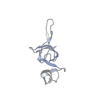 6921_5zep_V_v1-0
M. smegmatis hibernating state 70S ribosome structure
