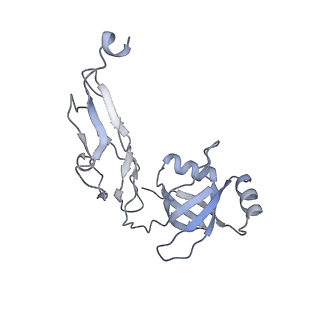 6921_5zep_W_v1-0
M. smegmatis hibernating state 70S ribosome structure