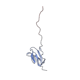 6921_5zep_X_v1-0
M. smegmatis hibernating state 70S ribosome structure