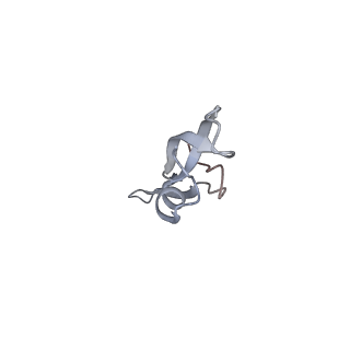 6921_5zep_Y_v1-0
M. smegmatis hibernating state 70S ribosome structure