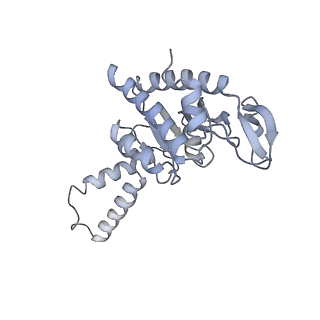 6921_5zep_b_v1-0
M. smegmatis hibernating state 70S ribosome structure