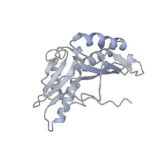 6921_5zep_c_v1-0
M. smegmatis hibernating state 70S ribosome structure
