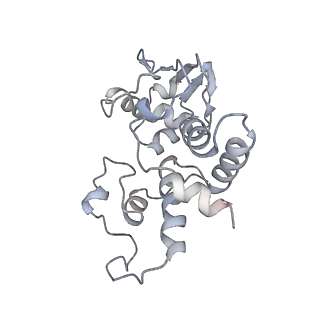 6921_5zep_d_v1-0
M. smegmatis hibernating state 70S ribosome structure