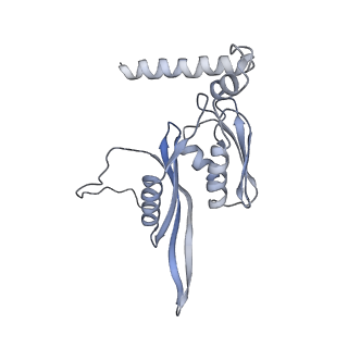 6921_5zep_e_v1-0
M. smegmatis hibernating state 70S ribosome structure