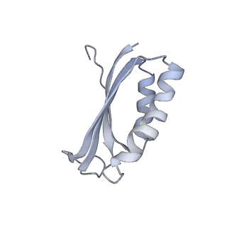 6921_5zep_f_v1-0
M. smegmatis hibernating state 70S ribosome structure