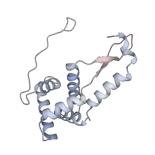 6921_5zep_g_v1-0
M. smegmatis hibernating state 70S ribosome structure