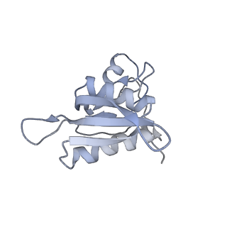 6921_5zep_h_v1-0
M. smegmatis hibernating state 70S ribosome structure