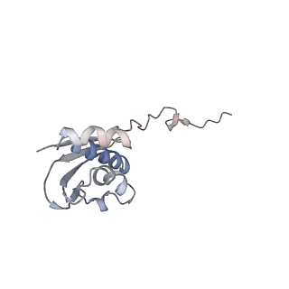6921_5zep_i_v1-0
M. smegmatis hibernating state 70S ribosome structure