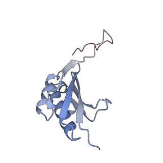 6921_5zep_k_v1-0
M. smegmatis hibernating state 70S ribosome structure