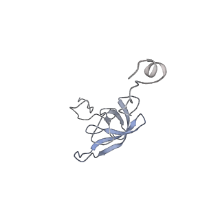 6921_5zep_l_v1-0
M. smegmatis hibernating state 70S ribosome structure