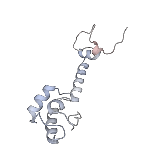 6921_5zep_m_v1-0
M. smegmatis hibernating state 70S ribosome structure