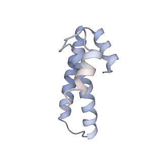 6921_5zep_o_v1-0
M. smegmatis hibernating state 70S ribosome structure