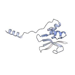 6921_5zep_p_v1-0
M. smegmatis hibernating state 70S ribosome structure