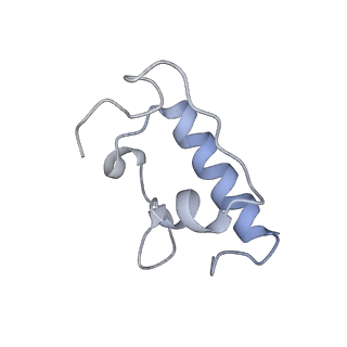 6921_5zep_r_v1-0
M. smegmatis hibernating state 70S ribosome structure