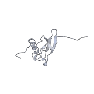 6921_5zep_s_v1-0
M. smegmatis hibernating state 70S ribosome structure