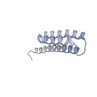 6921_5zep_t_v1-0
M. smegmatis hibernating state 70S ribosome structure