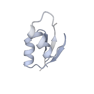 6921_5zep_v_v1-0
M. smegmatis hibernating state 70S ribosome structure