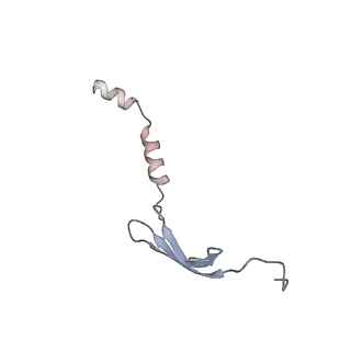 6921_5zep_y_v1-0
M. smegmatis hibernating state 70S ribosome structure