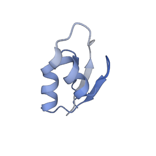 6922_5zet_1_v1-0
M. smegmatis P/P state 50S ribosomal subunit