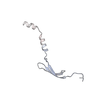 6922_5zet_2_v1-0
M. smegmatis P/P state 50S ribosomal subunit