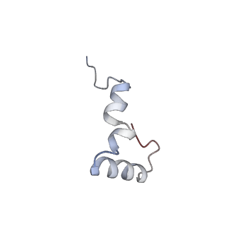 6922_5zet_5_v1-0
M. smegmatis P/P state 50S ribosomal subunit